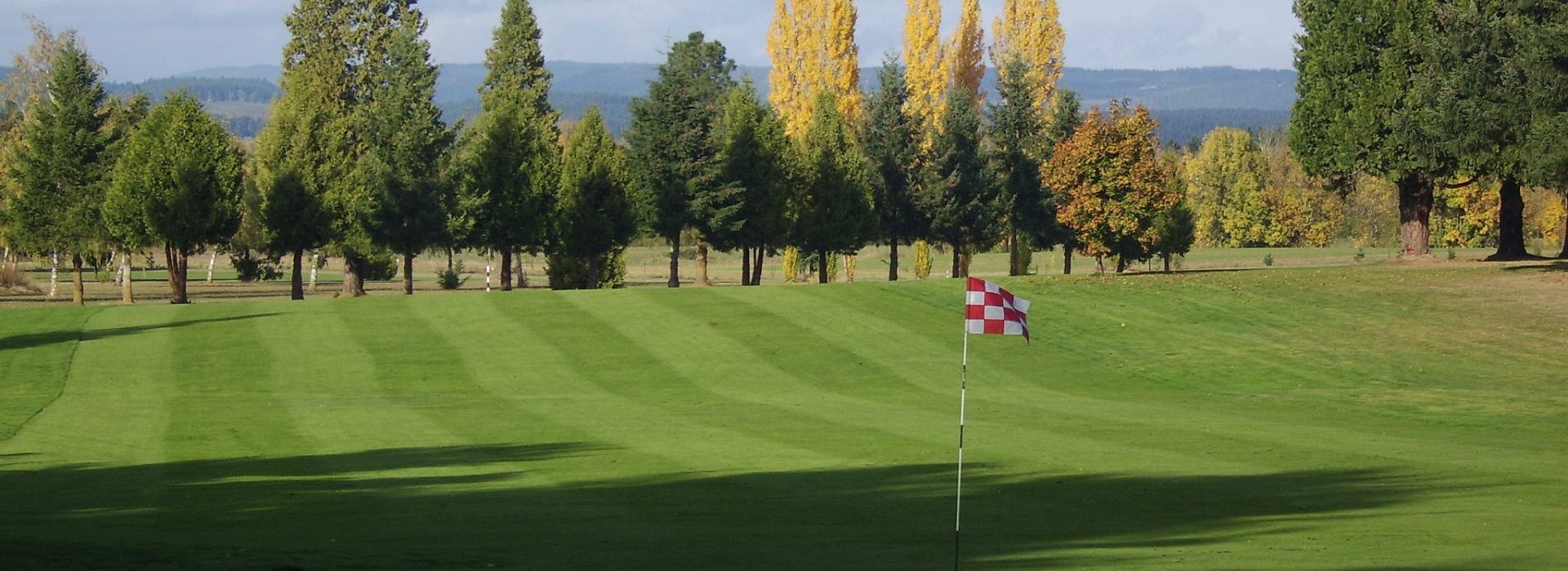 View of manicured golf course fairway with trees and flag