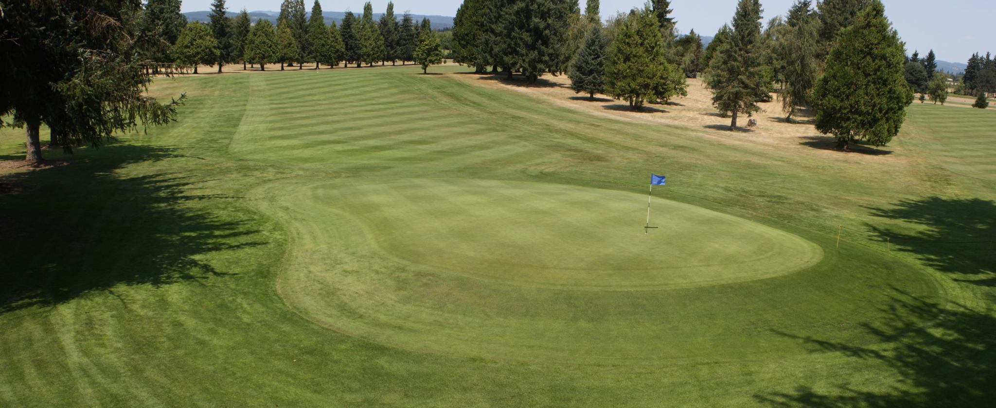 Manicured Golf Course Greens